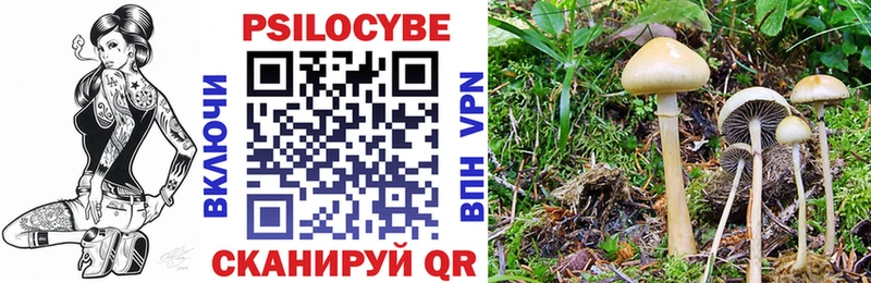 гидра зеркало  купить наркотик  Волоколамск  Галлюциногенные грибы Magic Shrooms 